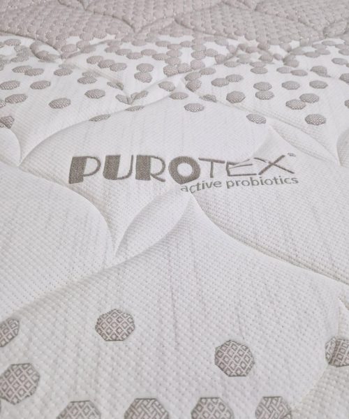 OKImmagine WhatsApp 2023-12-29 ore 14.31.36_a8bd4b78